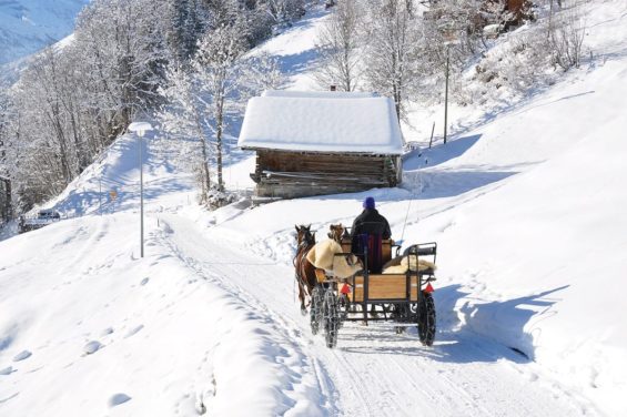 Pferdeschlittenfahrten - Winterurlaub in Forstau, Salzburger Land